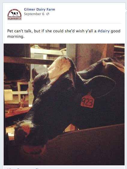 gilmer-dairy-hashtags