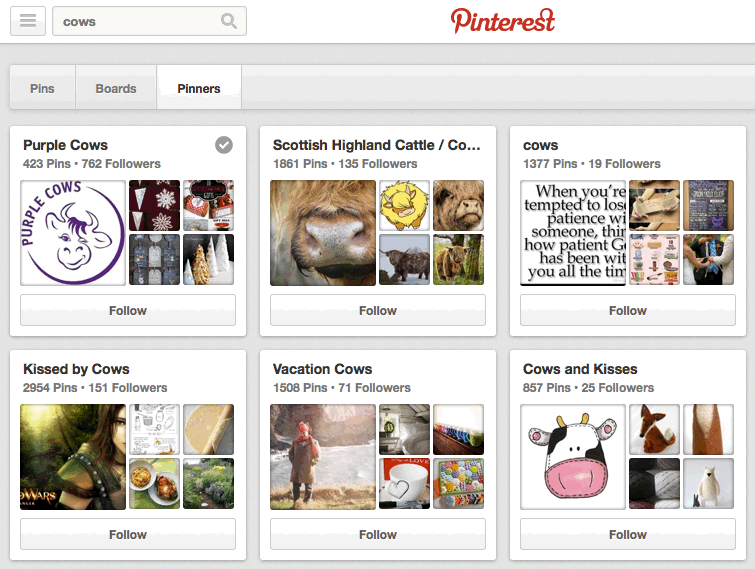 pinterest-search-pinners