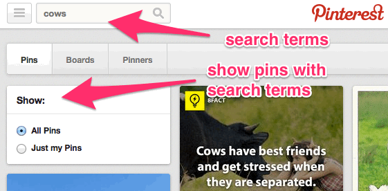pinterest-search-pins